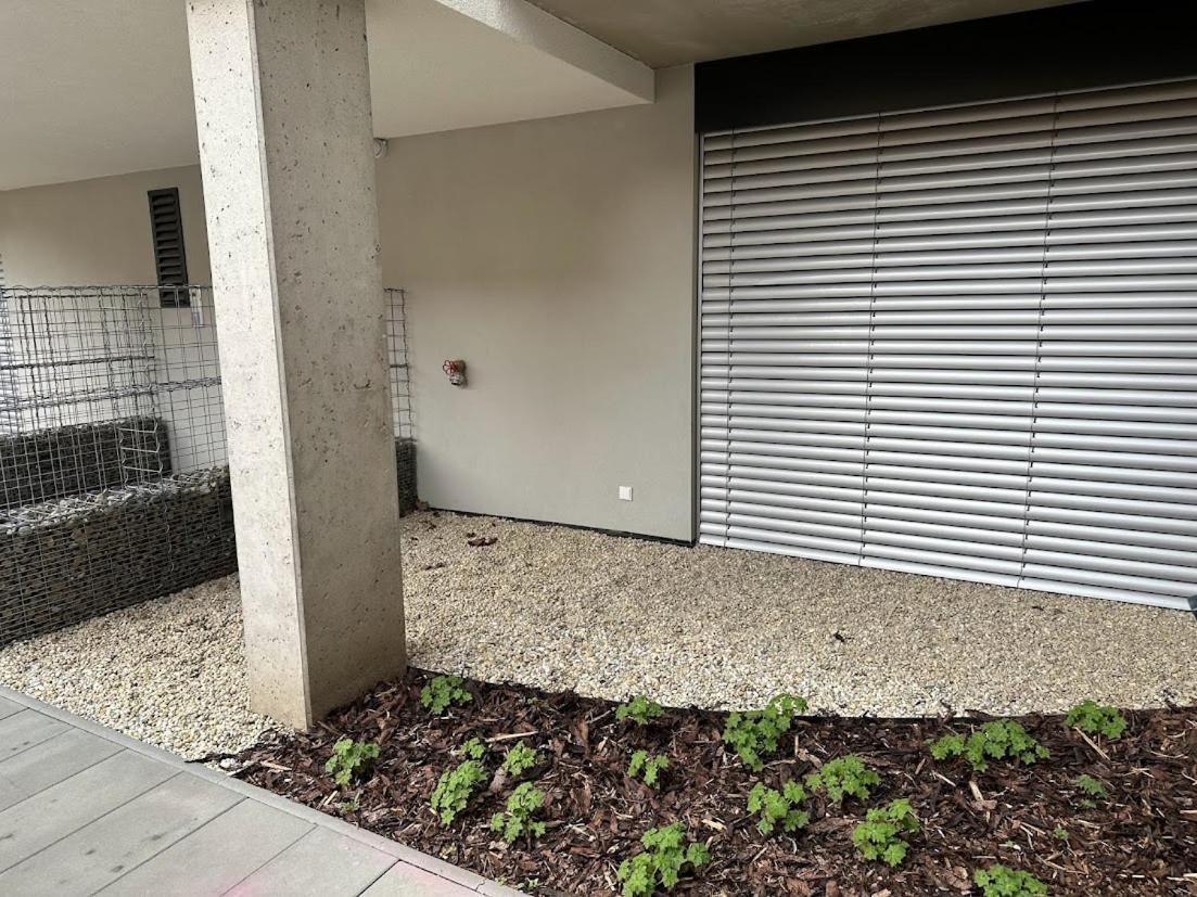 Bella Apartments 브르노 외부 사진